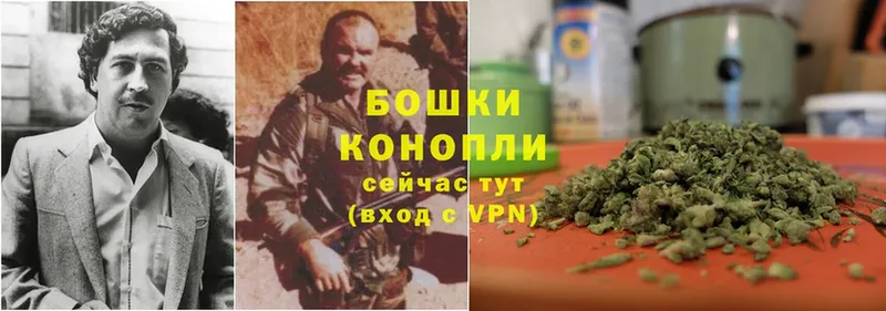 Шишки марихуана OG Kush  Богданович 